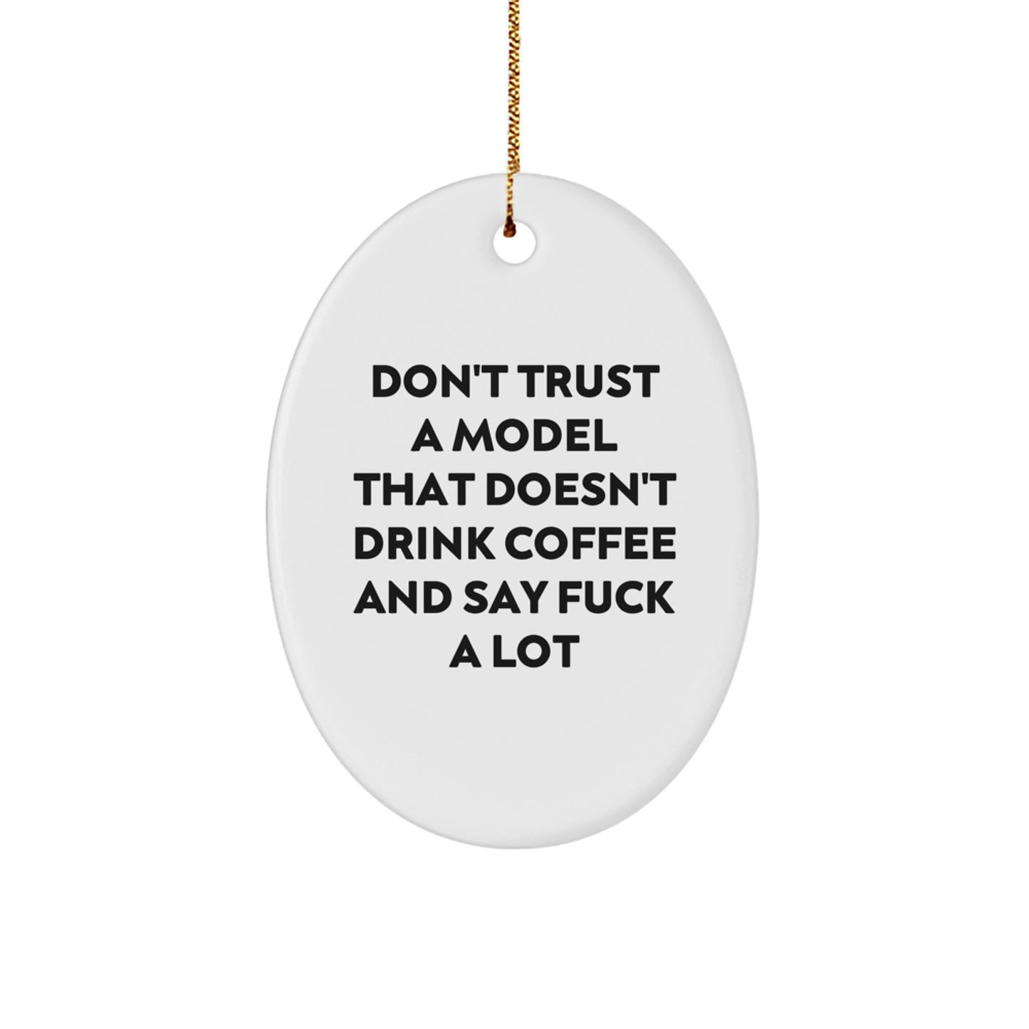 Funny Christmas Oval Ornament Gifts for Model Enthusiasts from Friends, Unique Model Decorations for Men or Women - Image 1