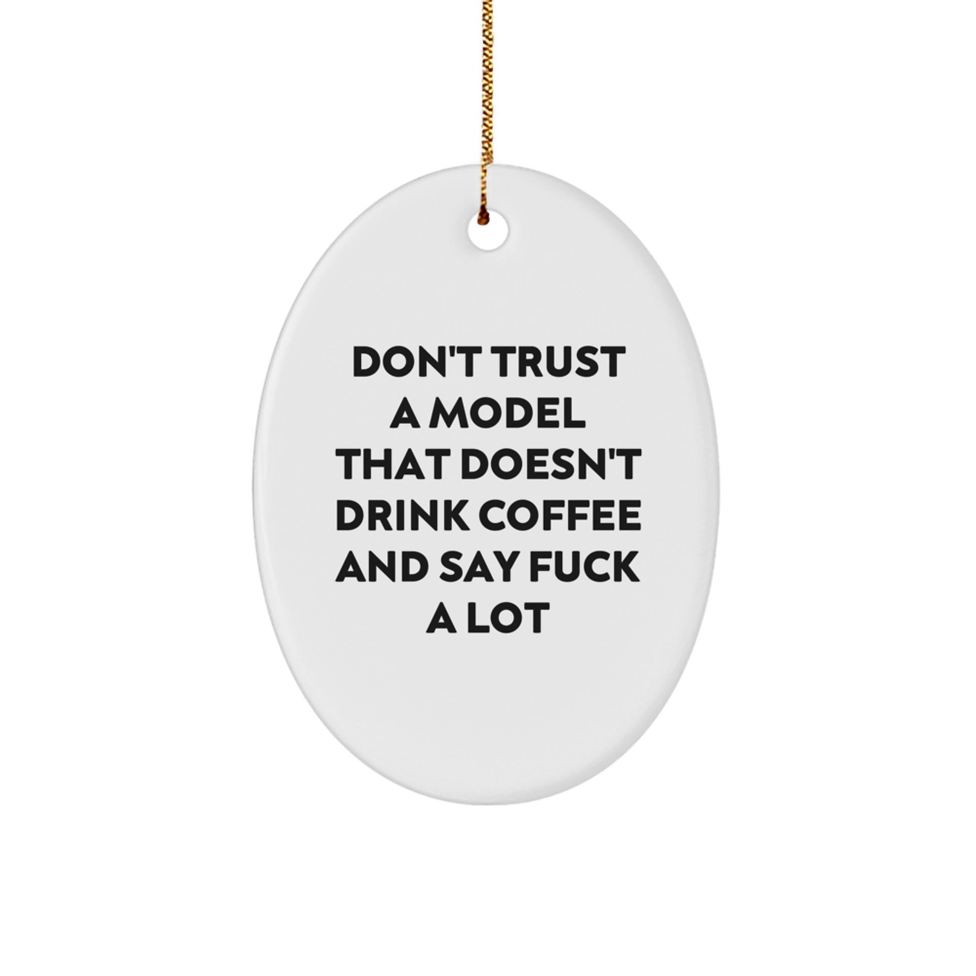 Funny Christmas Oval Ornament Gifts for Model Enthusiasts from Friends, Unique Model Decorations for Men or Women - Image 1