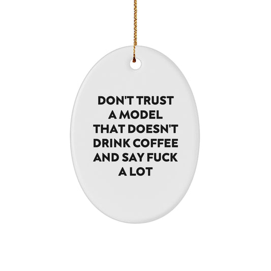 Funny Christmas Oval Ornament Gifts for Model Enthusiasts from Friends, Unique Model Decorations for Men or Women - Image 1