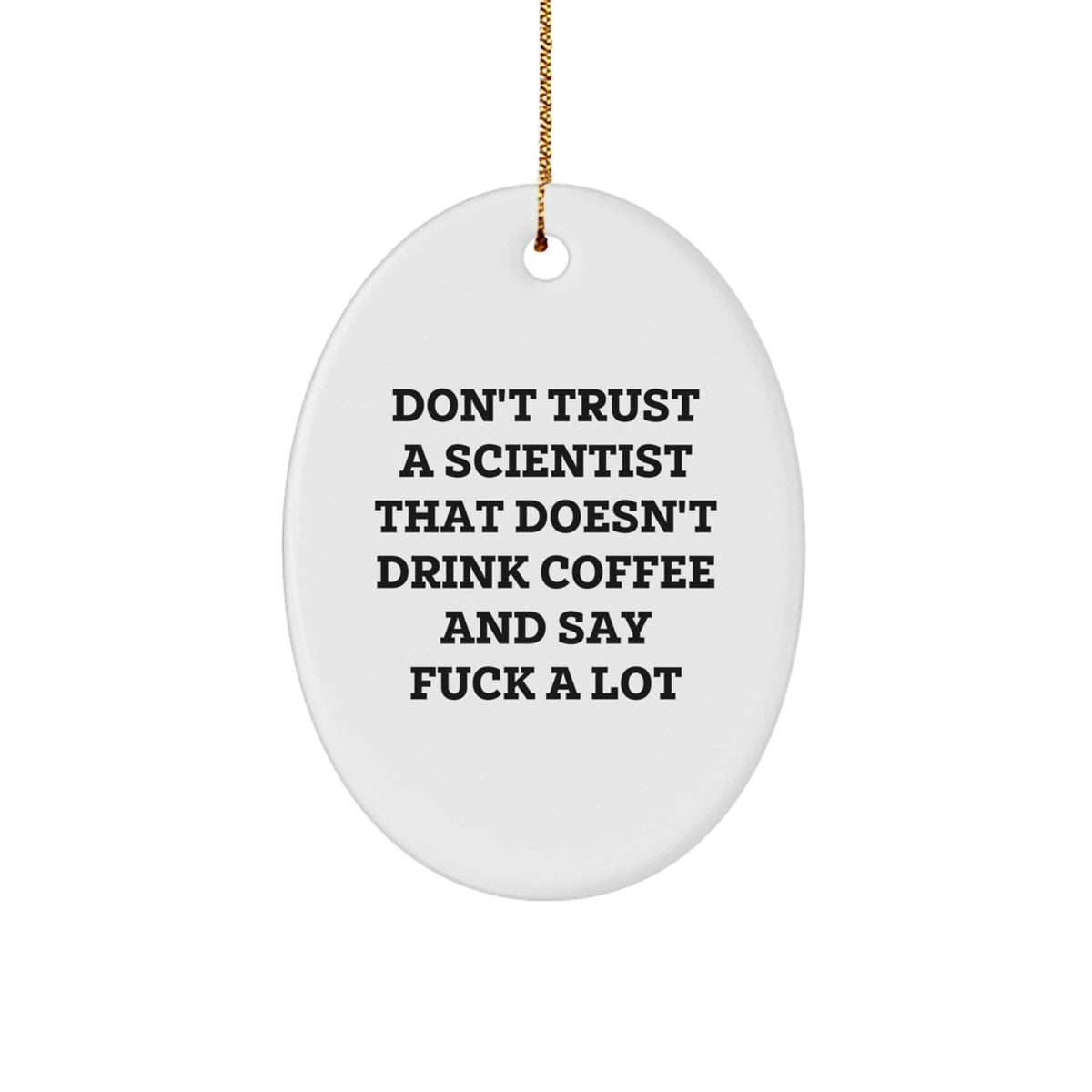 Funny Scientist Decor Oval Ornament Gifts from Friends for Scientist Men, Scientist Women, Scientist Coworkers, Scientist Family, Unique Christmas Unique Gifts - Image 1