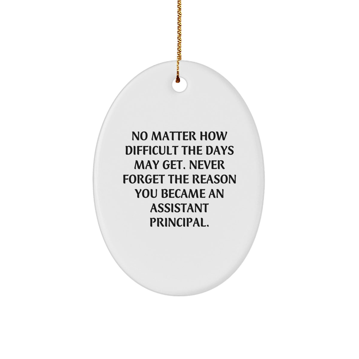 Funny Inspirational Assistant Principal Oval Ornament Gifts from Men to Assistant Principals for Christmas Unique Presents - Image 1