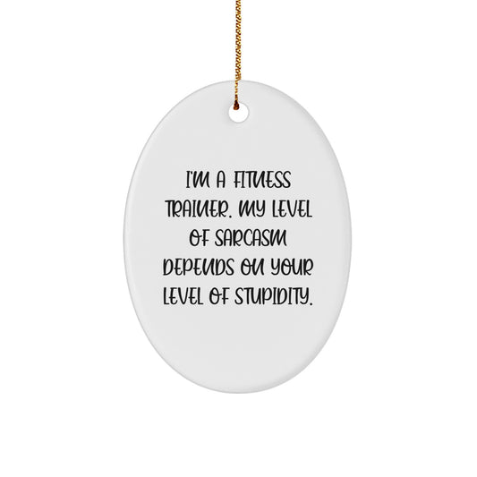 Fitness Trainer Gifts, Funny Oval Ornament, Sarcasm Quotes, Gifts from Friends to Fitness Trainers, Oval Christmas Unique Gifts - Image 1