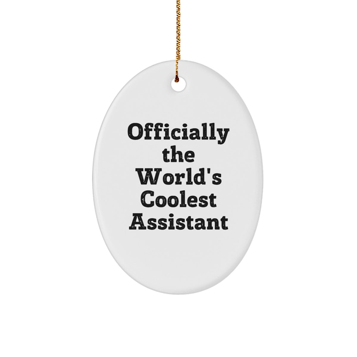 Funny Assistant Gifts - Officially The World's Coolest Assistant Oval Ornament for Home Decor, Christmas Unique Gifts from Friends, Coworkers, Family for Assistant - Image 1