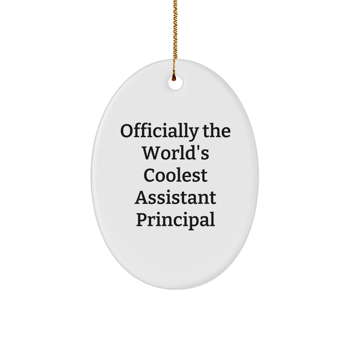 Gifts from Friends to the World's Coolest Assistant Principal, Funny Oval Ornament, Christmas Unique Gifts for Assistant Principal - Image 1