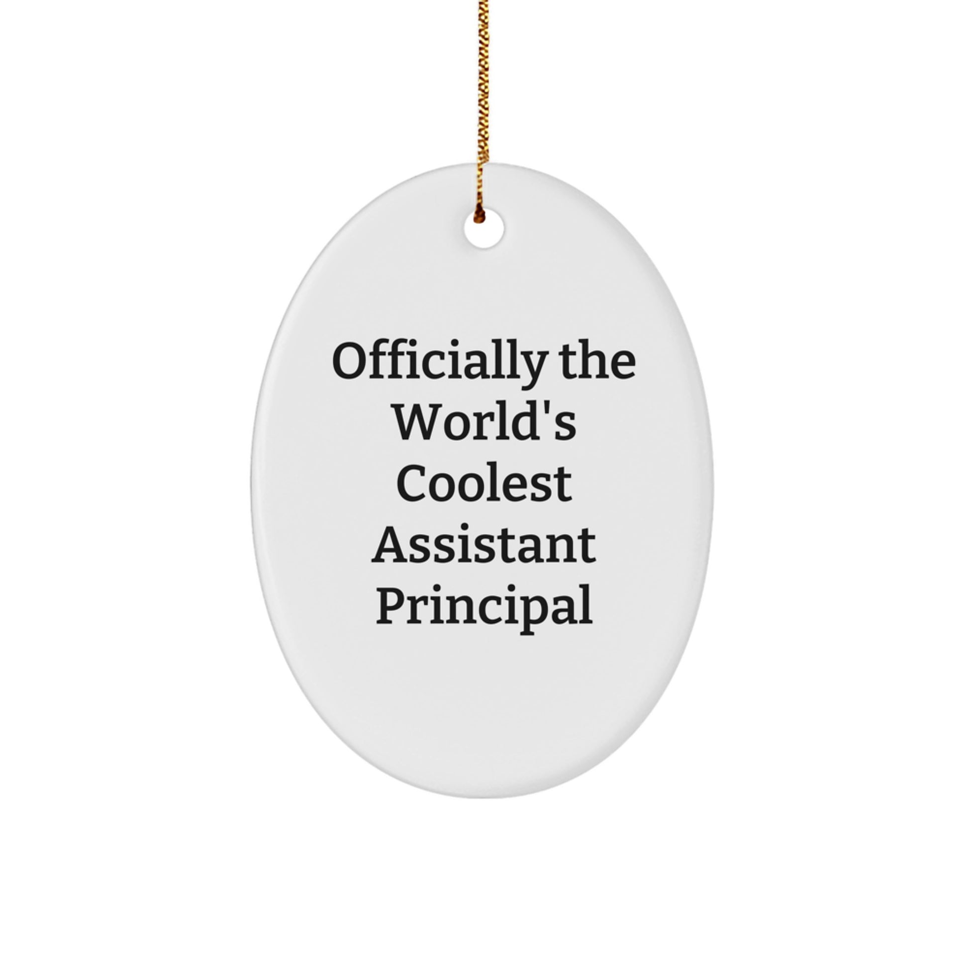 Gifts from Friends to the World's Coolest Assistant Principal, Funny Oval Ornament, Christmas Unique Gifts for Assistant Principal - Image 1