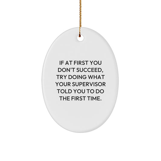 Funny Supervisor Christmas Unique Gifts for Men Women Friends, Oval Ornament, 'If At First You Don't Succeed, Try Doing What Your Supervisor Told You To Do The First Time.' - Image 1