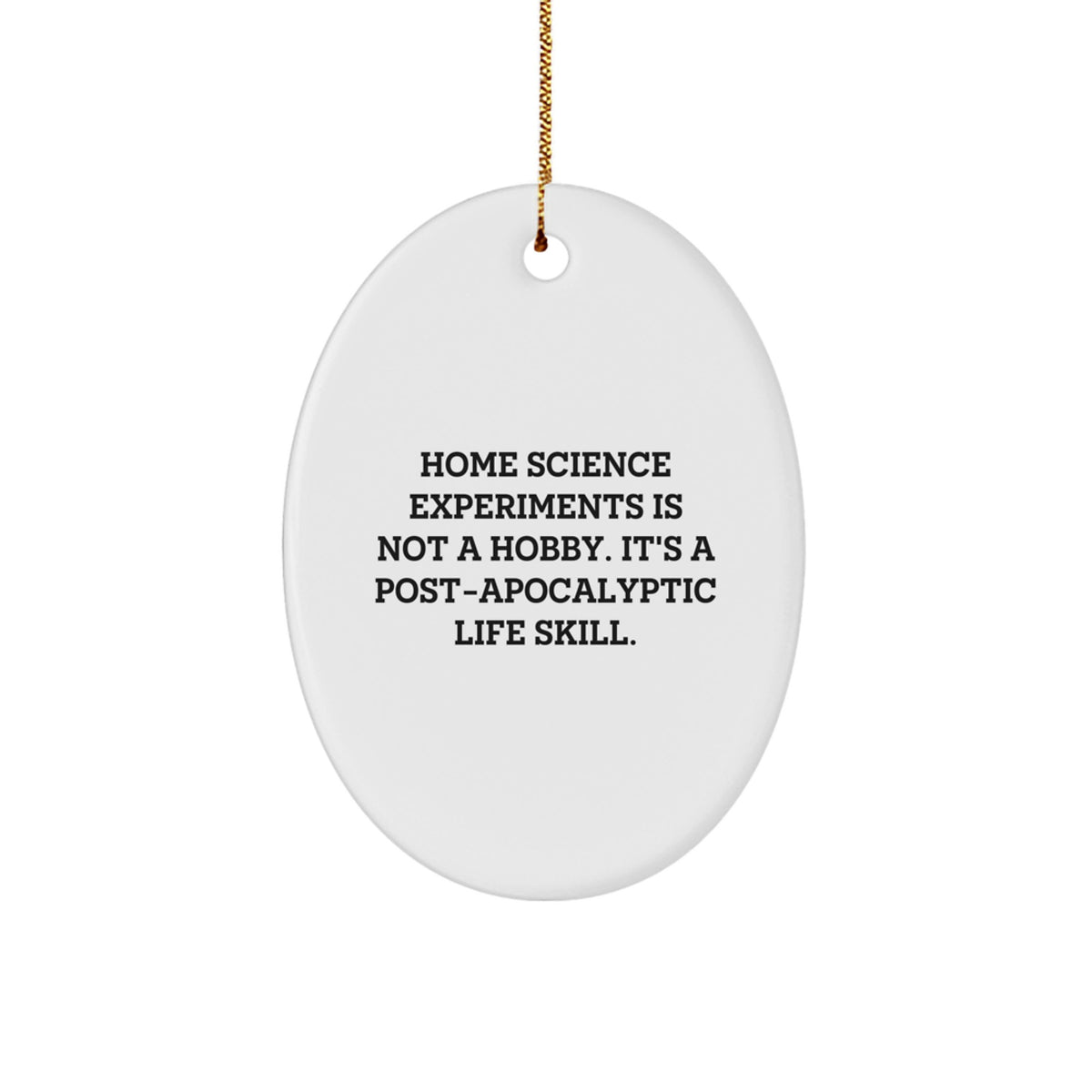 Funny Home Science Experiments Gifts from Men, Unique Christmas Unique Gifts for Home Science Enthusiasts, Oval Ornament Decoration - Image 1
