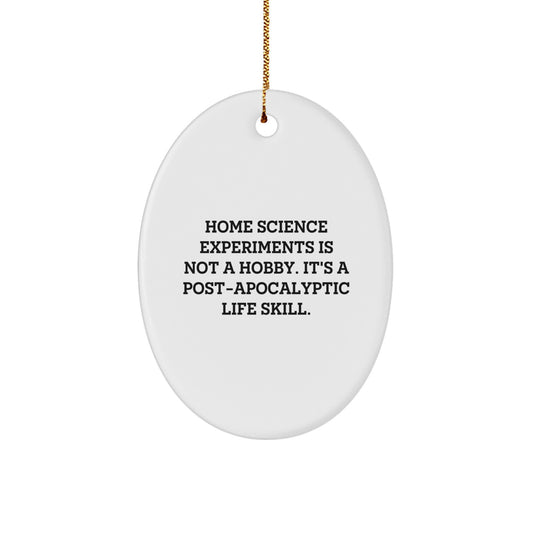 Funny Home Science Experiments Gifts from Men, Unique Christmas Unique Gifts for Home Science Enthusiasts, Oval Ornament Decoration - Image 1