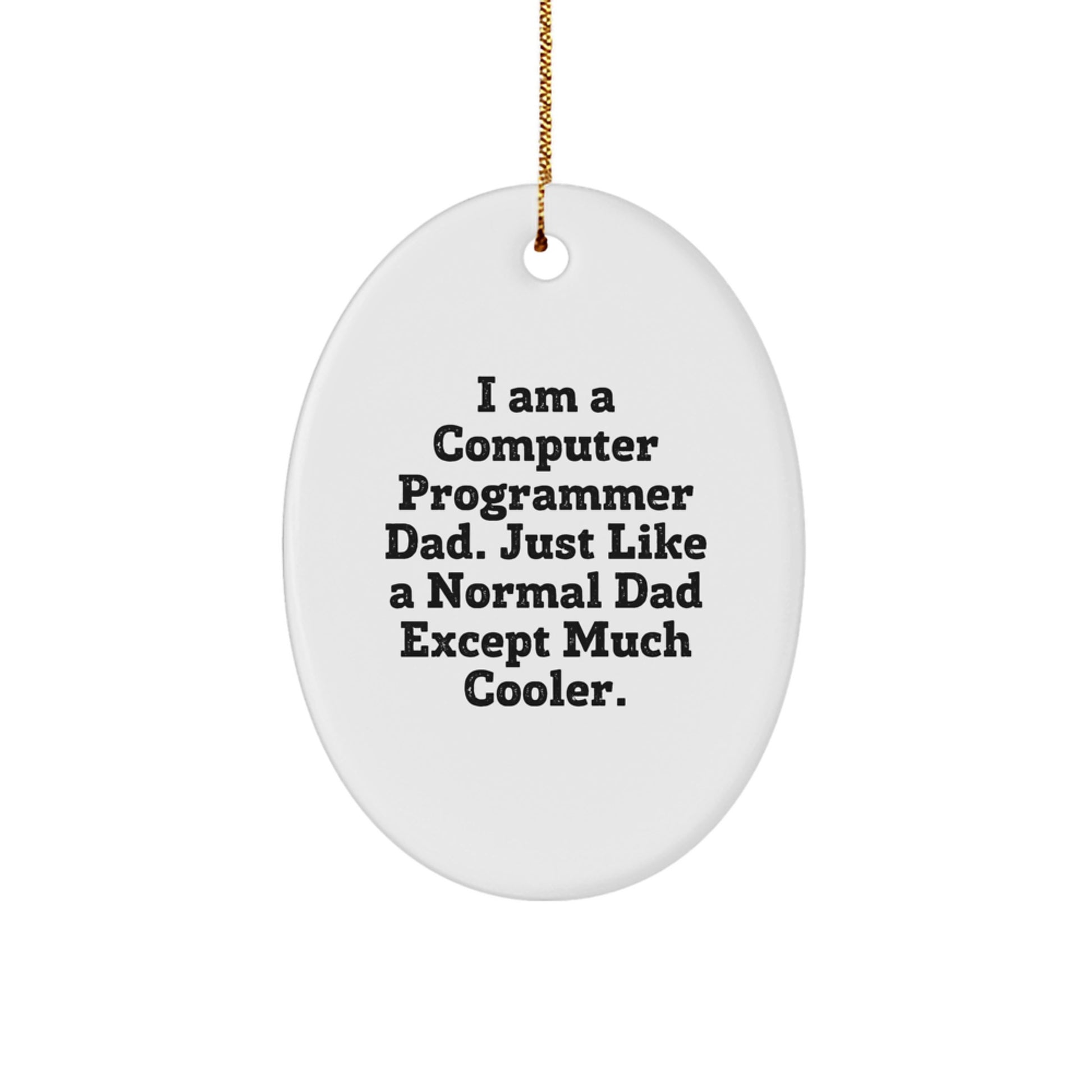 Funny Computer Programmer Gifts for Him | Oval Ornament for Dad from Computer Programmer Friends and Family - I Am a Computer Programmer Dad Except Much Cooler - Image 1
