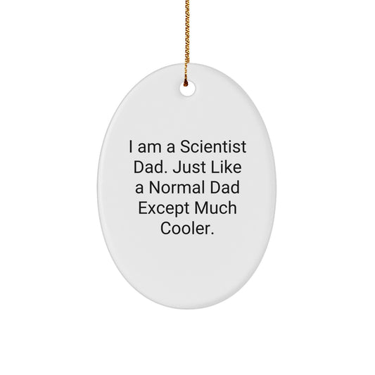 Funny Oval Ornaments for Scientist Dad Gifts from Men to Family - Unique Christmas Unique Gifts for Him - Image 1
