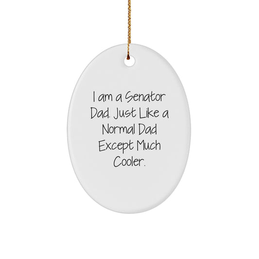 Funny Senator Dad Oval Ornament Gifts from Men to Senator Friends for Christmas, Senator Gifts for Senator Dad, Unique Oval Ornament for Senator - Image 1