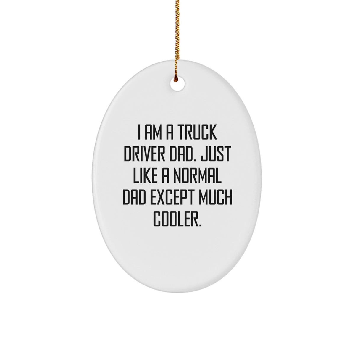 Truck Driver Gifts, Funny Oval Ornament for Truck Driver Dad Christmas Unique Gifts from Men to Truck Driver - Image 1