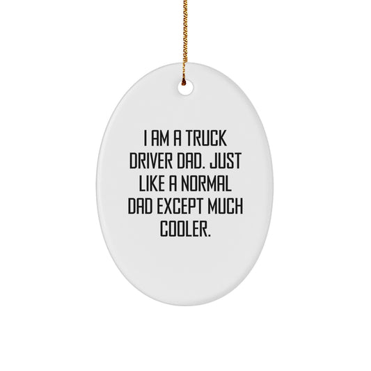 Truck Driver Gifts, Funny Oval Ornament for Truck Driver Dad Christmas Unique Gifts from Men to Truck Driver - Image 1