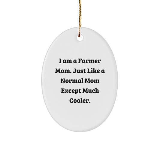 Farmer Mom Keepsake Christmas Ornament for Him Gift - Image 1