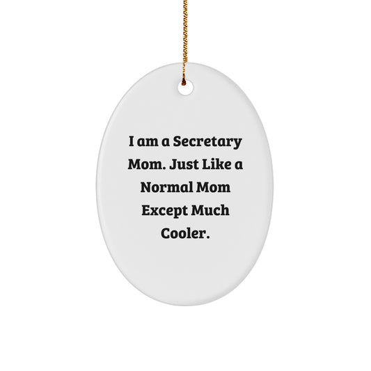 Secretary Keepsake Christmas Ornament for Him Gift - Image 1