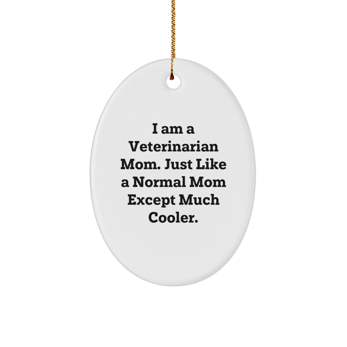 Veterinarian Christmas Gift Oval Ornament for Her Present - Image 1