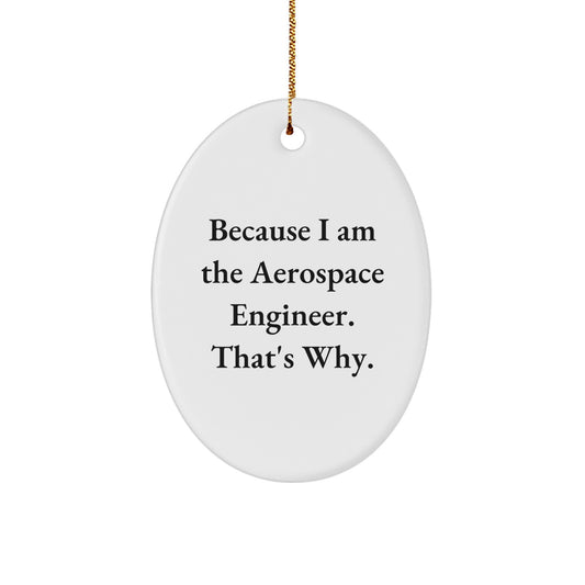 Aerospace Engineer Gifts, Oval Ornament with Funny Quote, Christmas Unique Gifts from Friends to Aerospace Engineer - Image 1