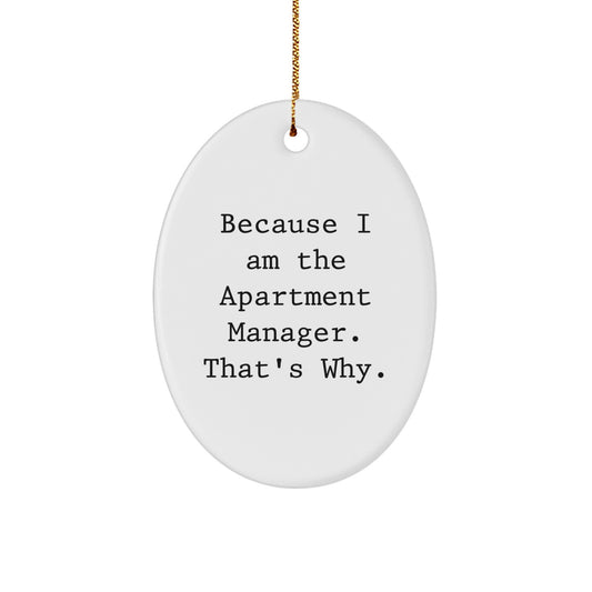 Apartment Manager Keepsake Christmas Ornament for Him Gift - Image 1