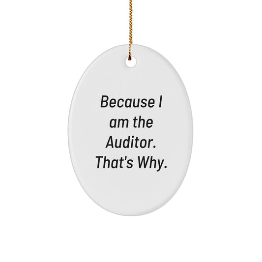 Auditor Novelty Christmas Ornament for Friends Gift - Image 1