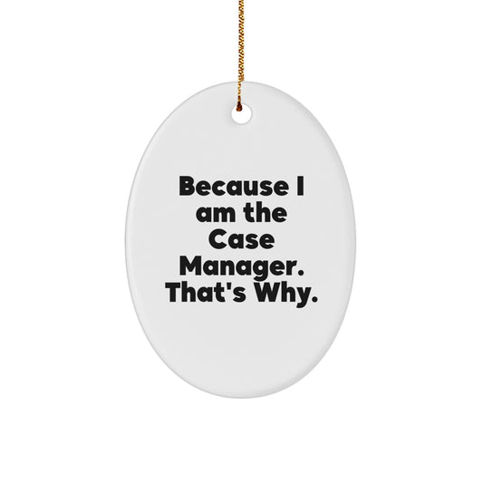 Professional Case Manager Keepsake Christmas Ornament for Him Gift - Image 1