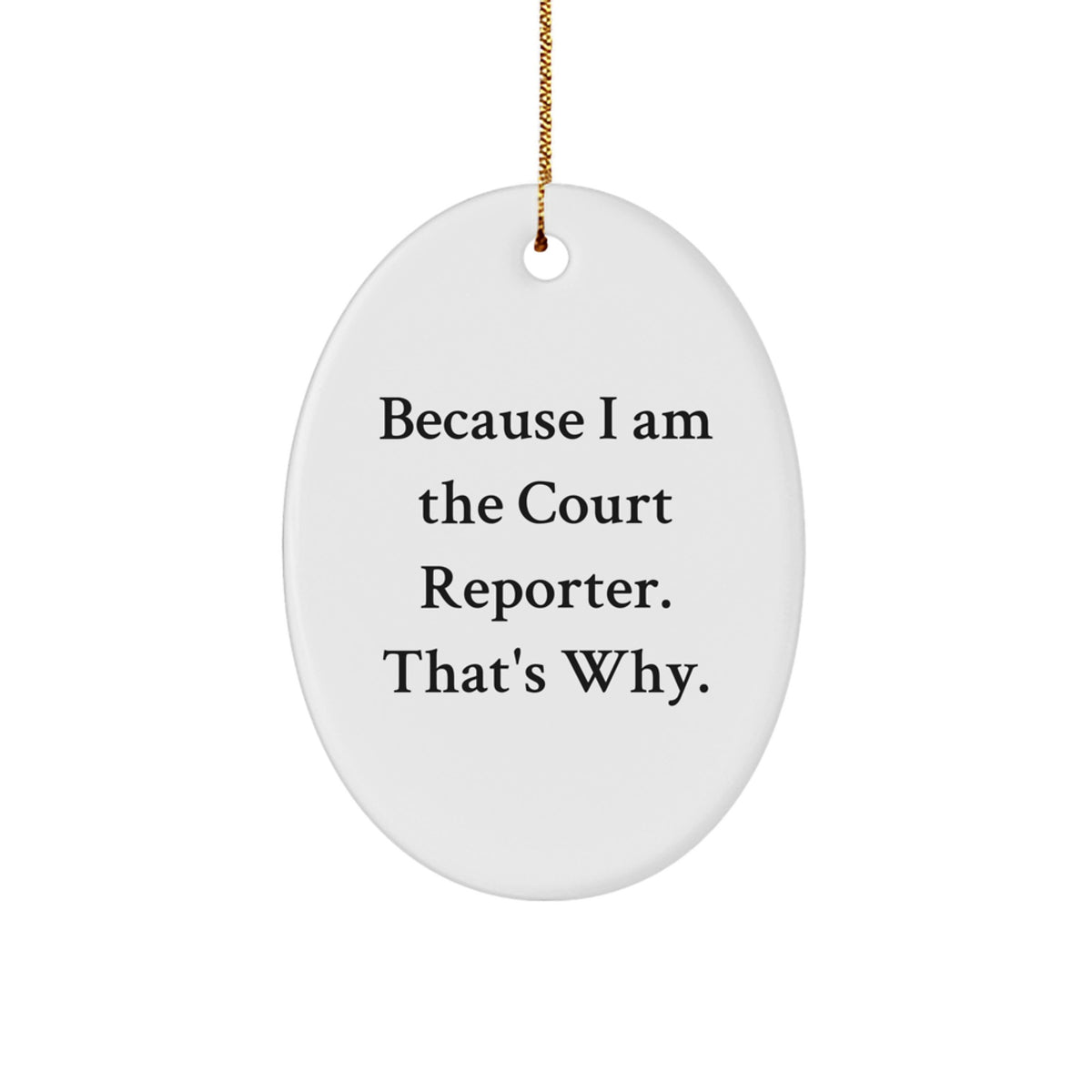 Funny Court Reporter Oval Ornament Gifts from Family for Court Reporter Christmas Unique - Image 1