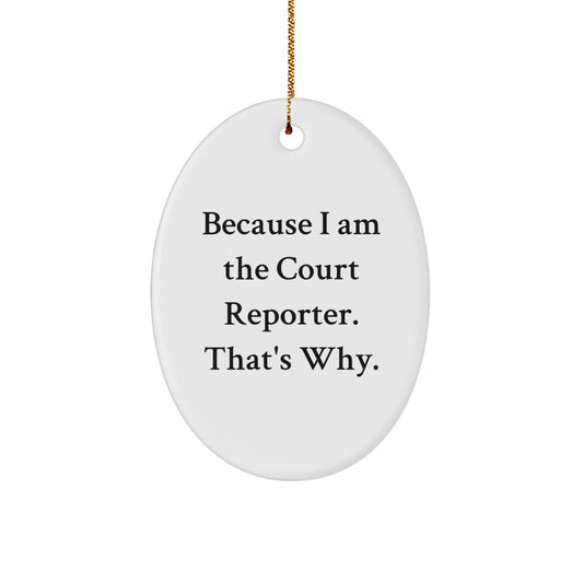 Funny Court Reporter Oval Ornament Gifts from Family for Court Reporter Christmas Unique - Image 1