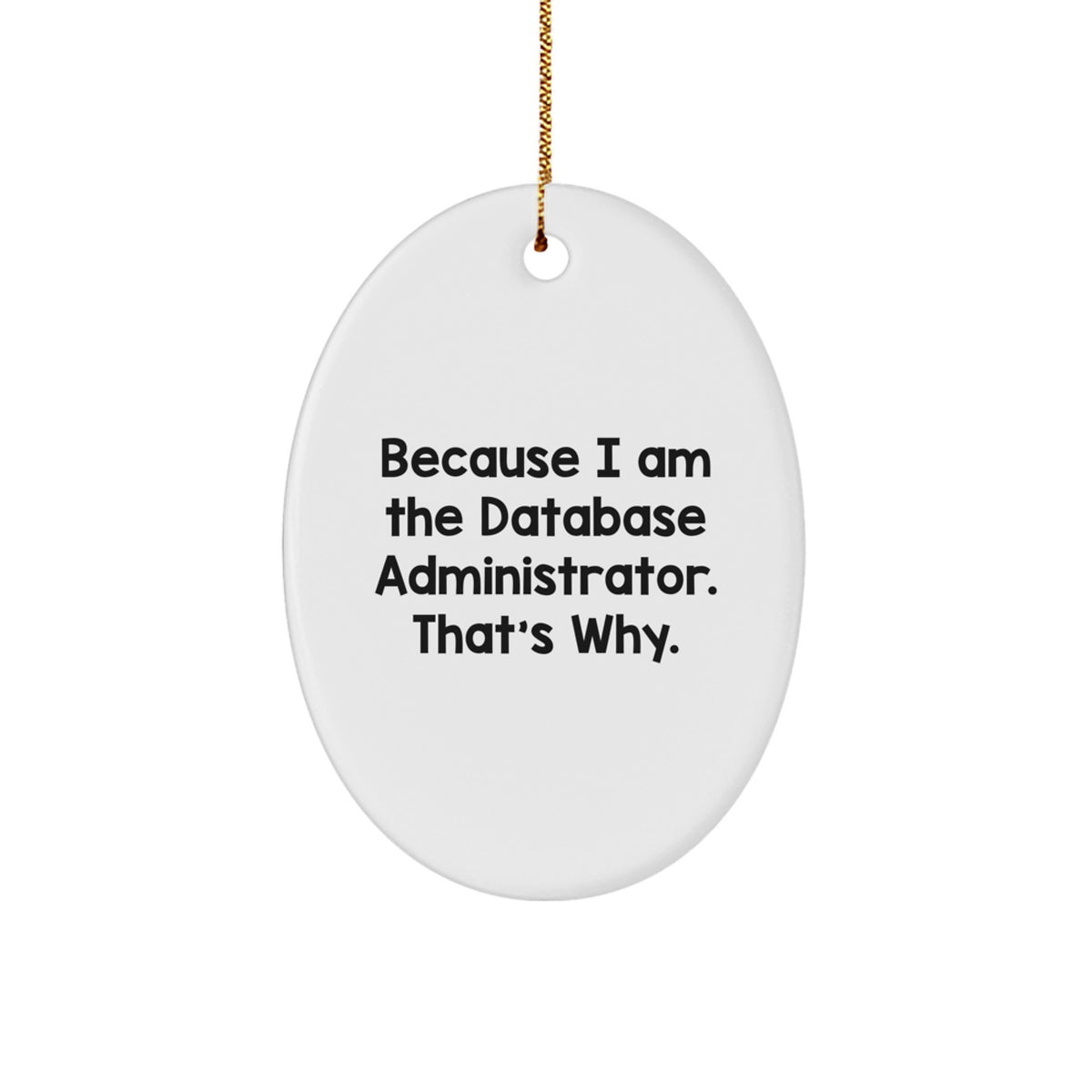 Favorite Database Administrator Oval Christmas Ornament for Kids Gift - Image 1