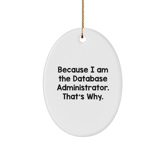 Favorite Database Administrator Oval Christmas Ornament for Kids Gift - Image 1
