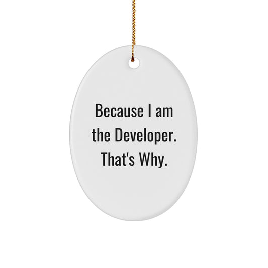 Because I Am The Developer Gifts from Family - Christmas Unique Oval Ornament for Developer Friends - Image 1