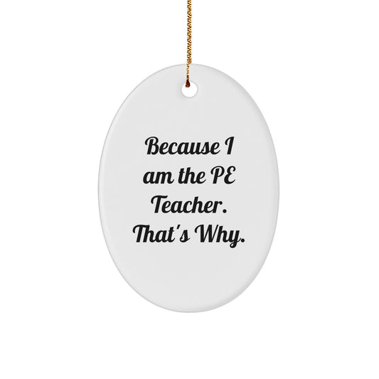 Christmas Gift for Her PE Teacher Oval Ornament Present Bright - Image 1