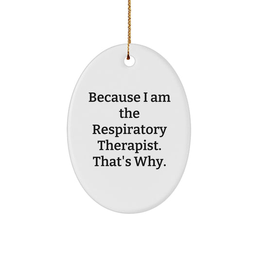 Christmas Gift for Roommates Respiratory Therapist Collectible Oval - Image 1