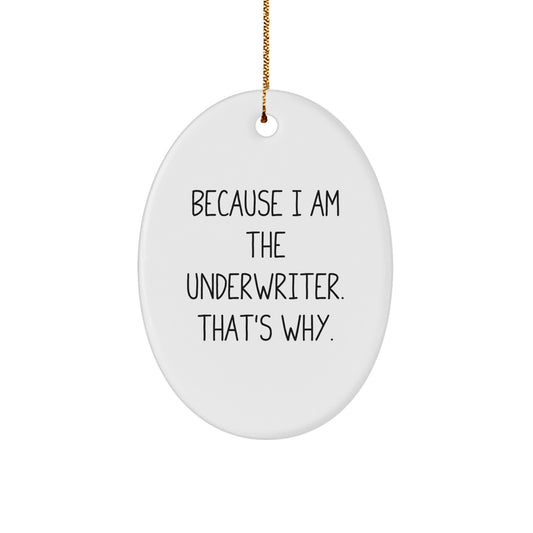 Christmas Ornament Gift for Her Underwriter Present - Because I Am The - Image 1