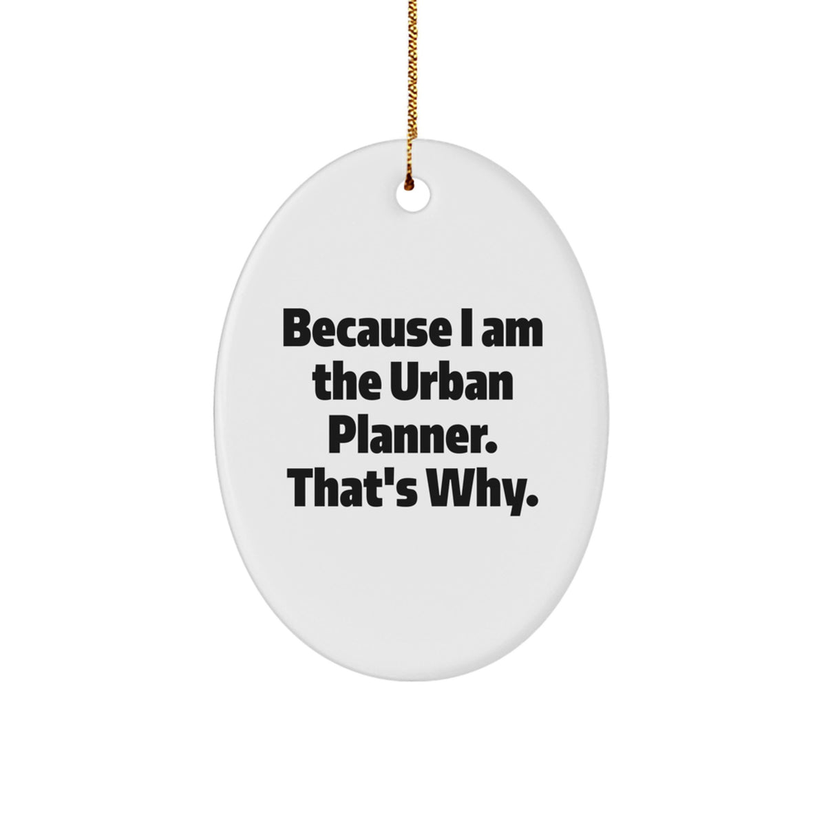 Funny Urban Planner Oval Ornament Gifts from Friends for Christmas, Oval Shaped MDF - Image 1