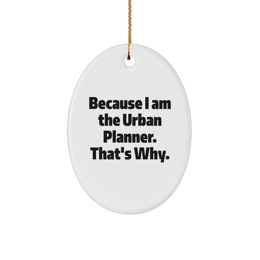 Funny Urban Planner Oval Ornament Gifts from Friends for Christmas, Oval Shaped MDF - Image 1