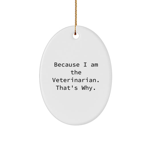 Veterinarian Keepsake Christmas Ornament for Him Holiday Gift - Image 1