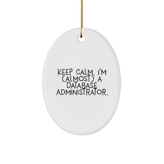 Database Administrator Oval Ornament Gift for Coworkers Idea Keep Calm - Image 1