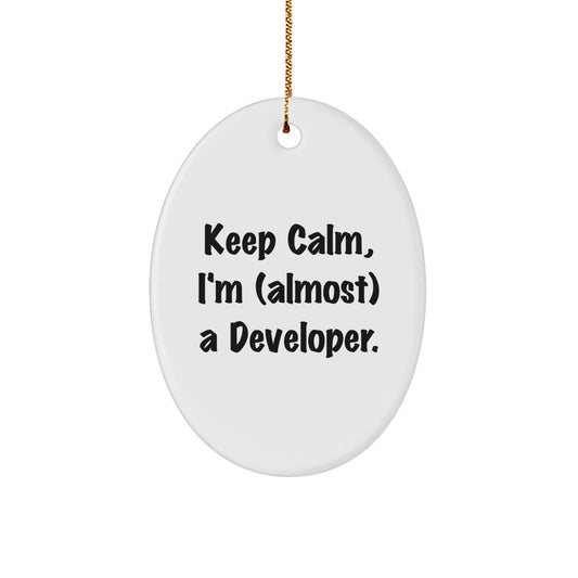 Developer Keepsake Christmas Ornament for Him White Durable Gift - Image 1