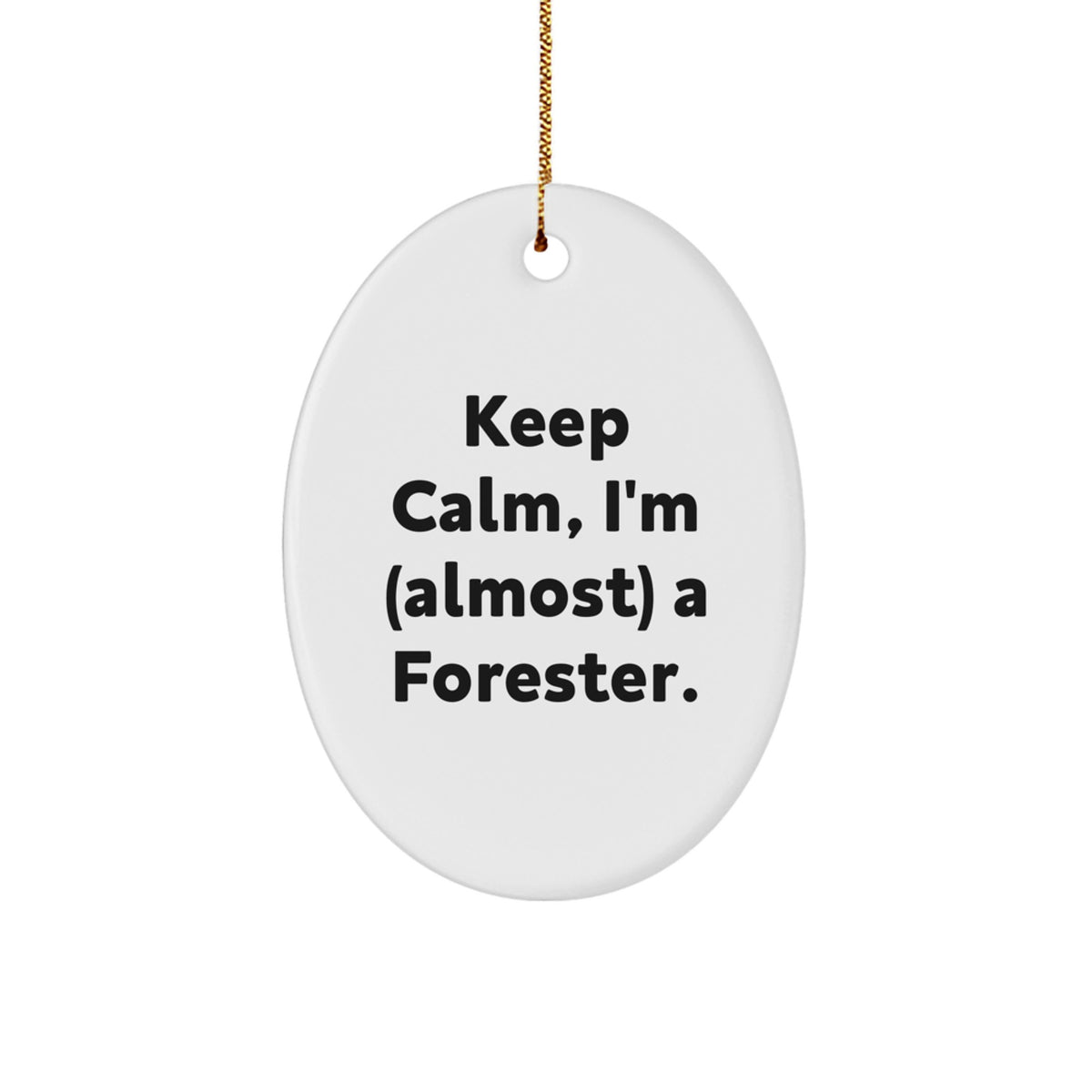 Forester Oval Christmas Ornament Gift for Coworkers Idea - Image 1