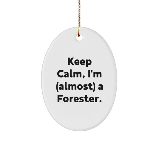 Forester Oval Christmas Ornament Gift for Coworkers Idea - Image 1