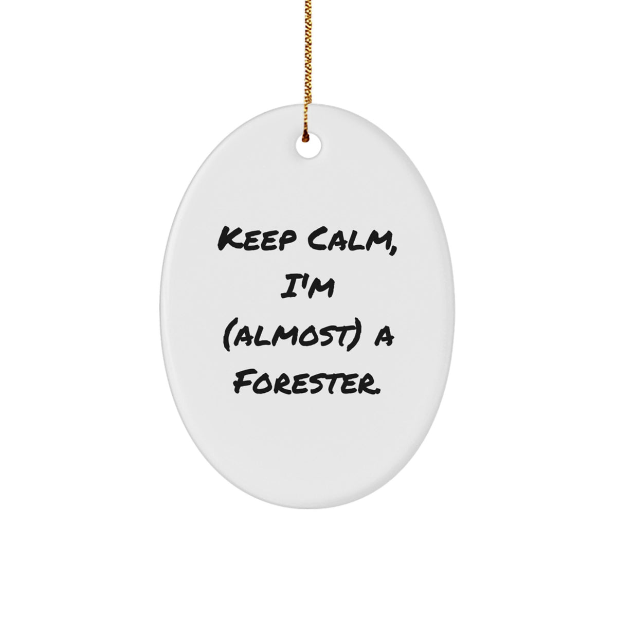 Forester Family Treasure Christmas Ornament Gift - Image 1