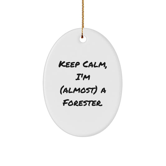 Forester Family Treasure Christmas Ornament Gift - Image 1