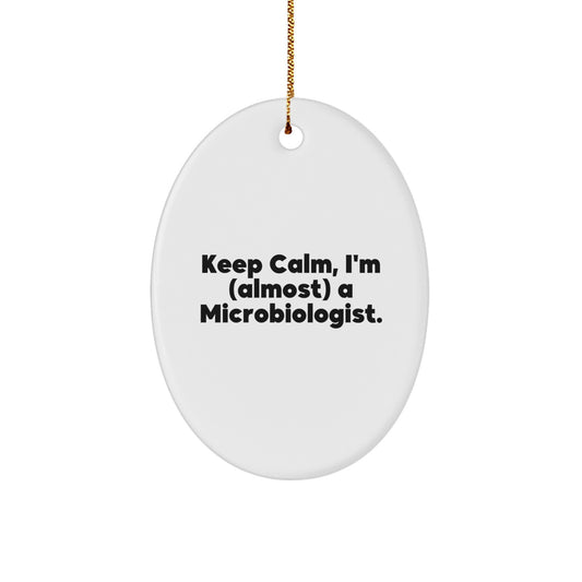 Christmas Ornament Gift Keep Calm, I'm (Almost) A Microbiologist Idea - Image 1