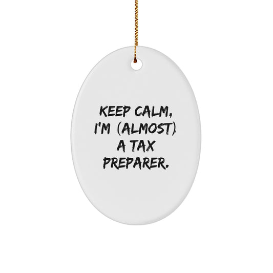 Cheeky Tax Preparer Novelty Christmas Ornament for Friends Gift - Image 1
