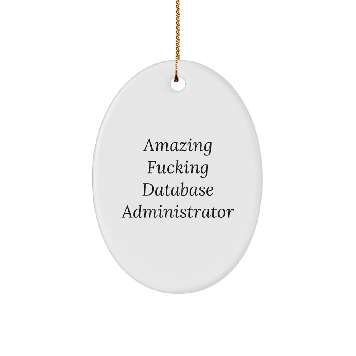 Christmas Gift Oval Ornament for Her – Amazing Database Administrator - Image 1