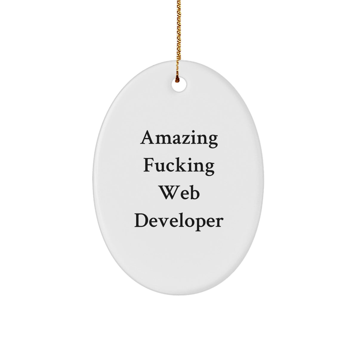 Funny Web Developer Oval Ornament Gifts from Men to Web Developer Friends and Coworkers for Christmas - Image 1