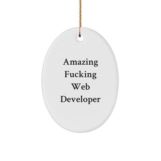 Funny Web Developer Oval Ornament Gifts from Men to Web Developer Friends and Coworkers for Christmas - Image 1