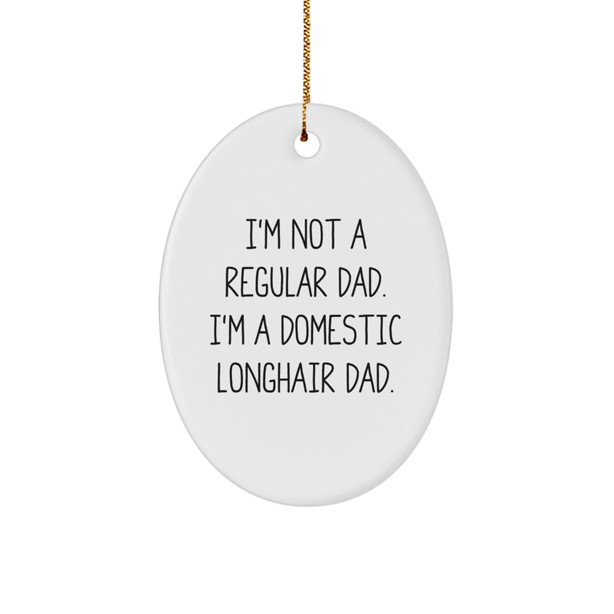 Funny Domestic Longhair Cat Gifts for Men, Unique Oval Ornament with I'm Not A Regular Dad Quote, Gifts from Husband - Image 1