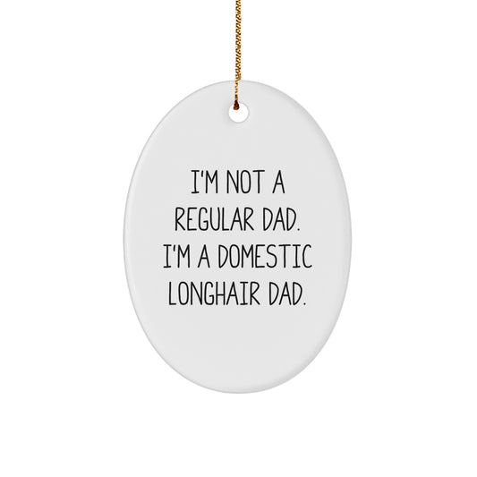 Funny Domestic Longhair Cat Gifts for Men, Unique Oval Ornament with I'm Not A Regular Dad Quote, Gifts from Husband - Image 1