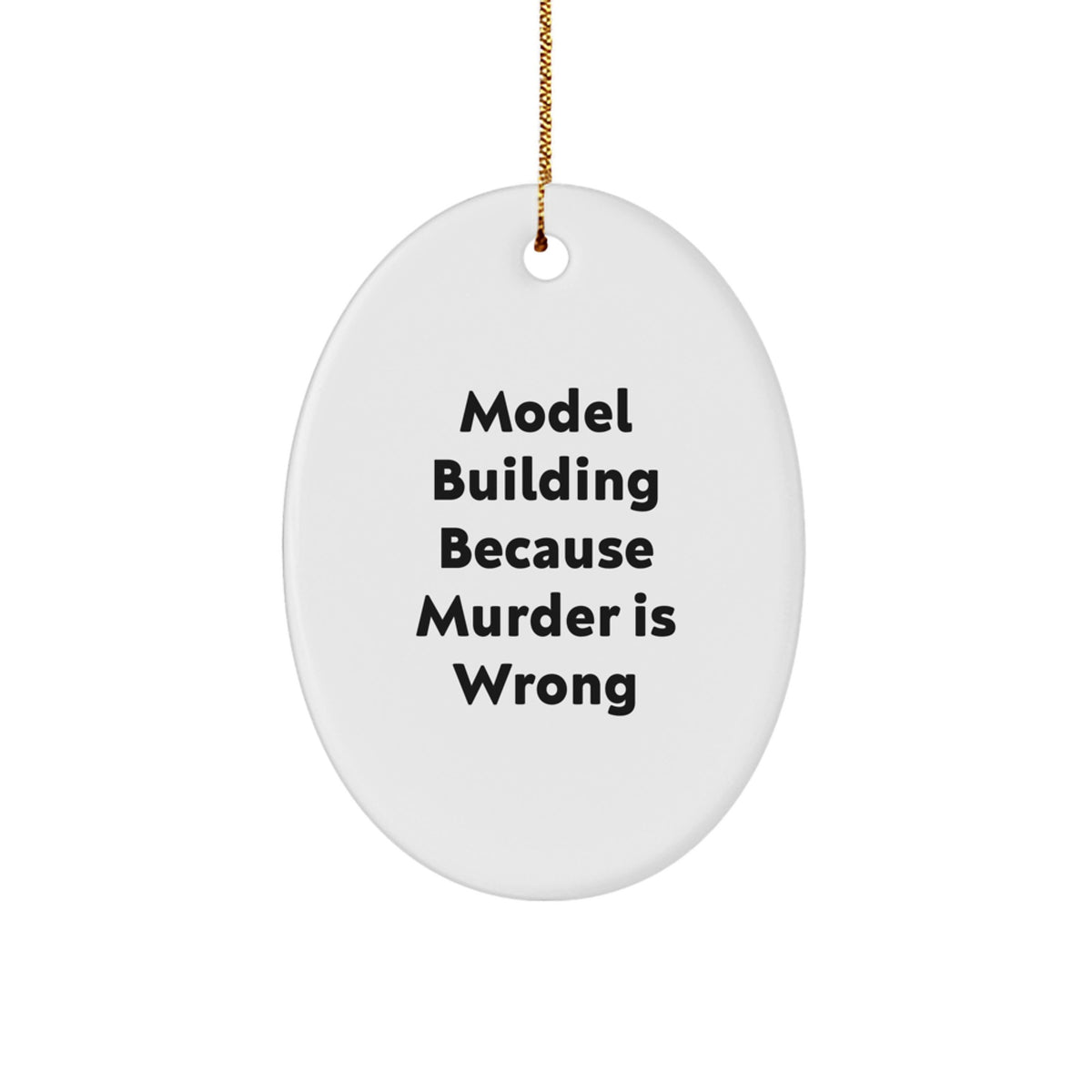 Funny Model Building Christmas Unique Gifts for Men Oval Ornaments from Friends - Image 1