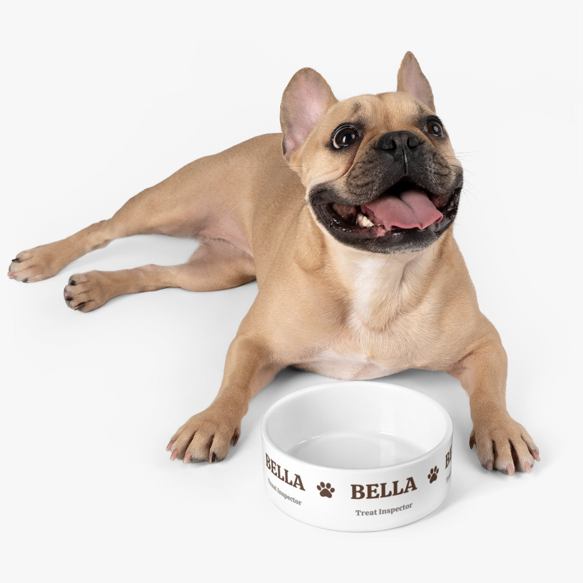 DB01 - Personalized Ceramic Dog Bowl – Name & Custom Title